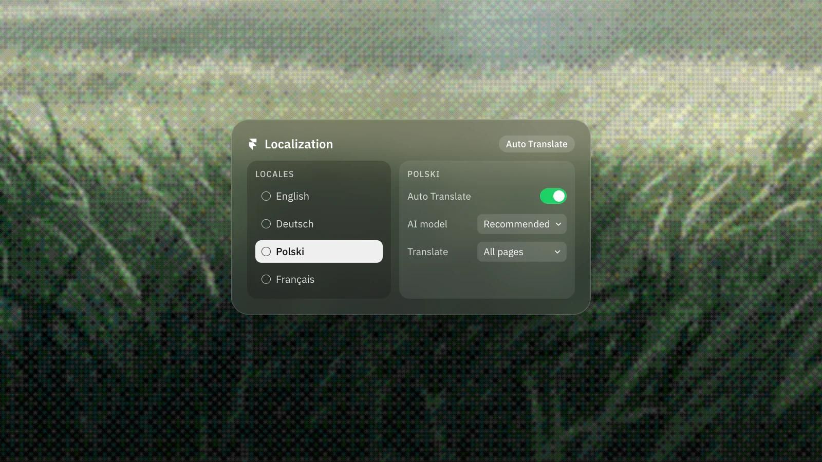 Framer localization with four locales and Auto Translate switched on for Polish, on a frosted glass card over a dithered photo of tall grass with a city on the horizon.